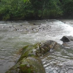 土砂降りの雨に逃げ帰る ～九頭竜川水系～